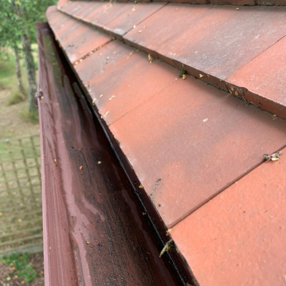 Gutter Clearing